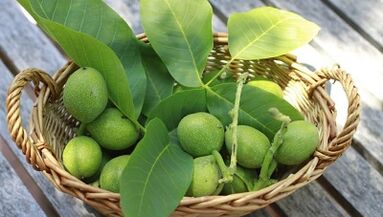 Walnüsse zur Beseitigung von Papillomen