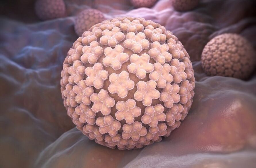 humanes Papillomavirus, das Warzen verursacht